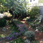 Pineta