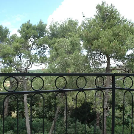 Pineta